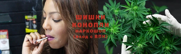 соль ск Сосновый Бор