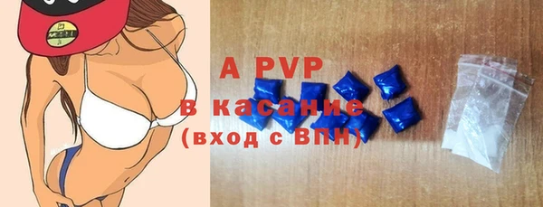 крисы Каменногорск