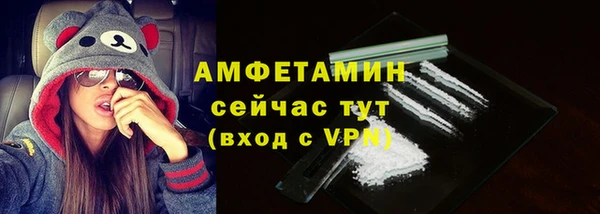 крисы Каменногорск