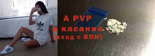 крисы Каменногорск