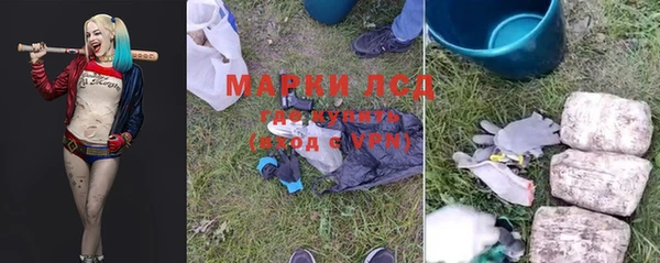 крисы Каменногорск