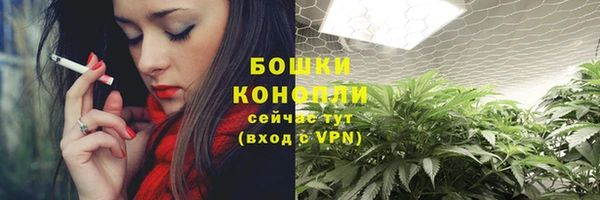 крисы Каменногорск