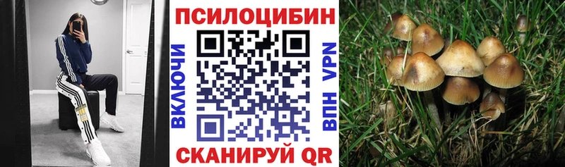 Галлюциногенные грибы Magic Shrooms  Купить закладки  Карпинск 